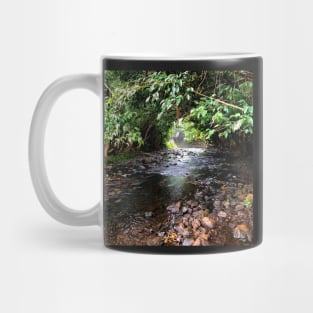 Quiet Mountain Stream Mug